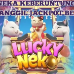 LUCKY NEKO BONEKA KEBERUNTUNGAN JACKPOT BESAR
